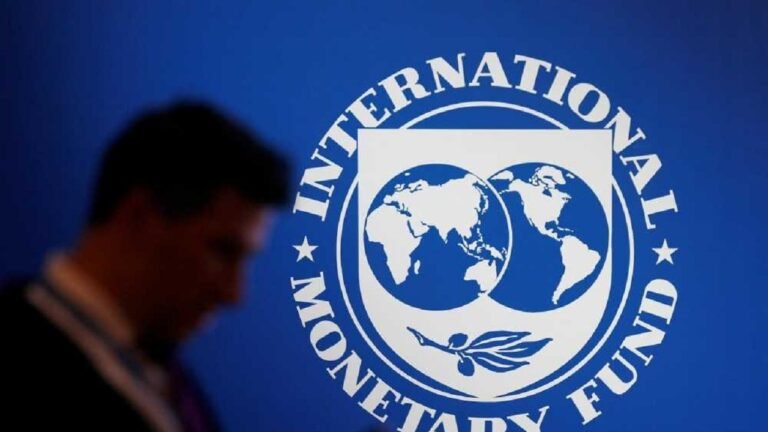 El Gobierno cancelará los próximos vencimientos con el FMI tras las elecciones