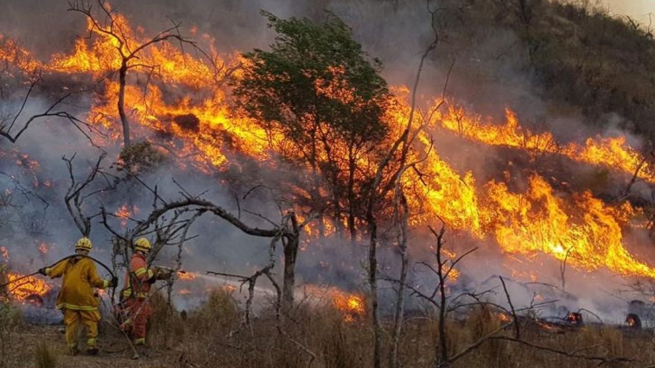 Incendios en Corrientes: siguen registrándose focos activos en varias zonas