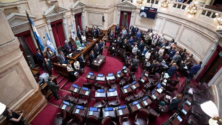 Los senadores aprobaron la Boleta Única de Papel