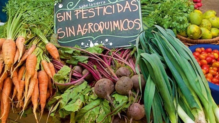 Avanza el proyecto para la promoción de productos orgánicos