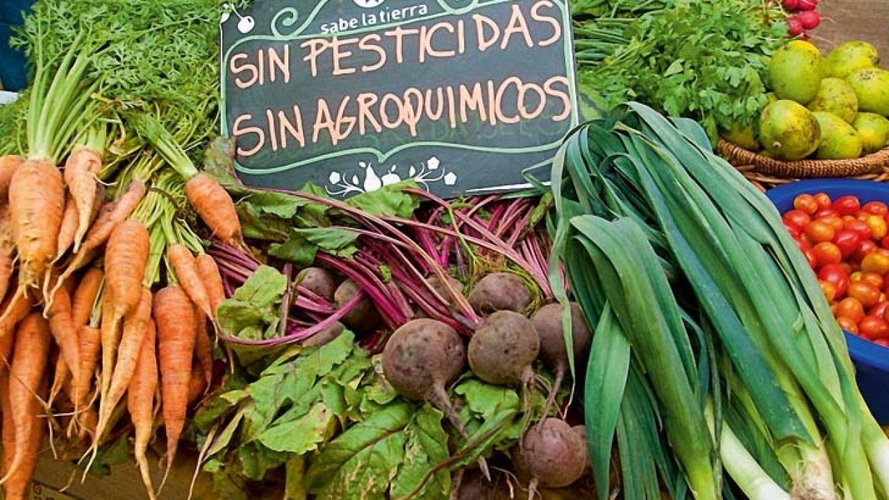 Avanza el proyecto para la promoción de productos orgánicos