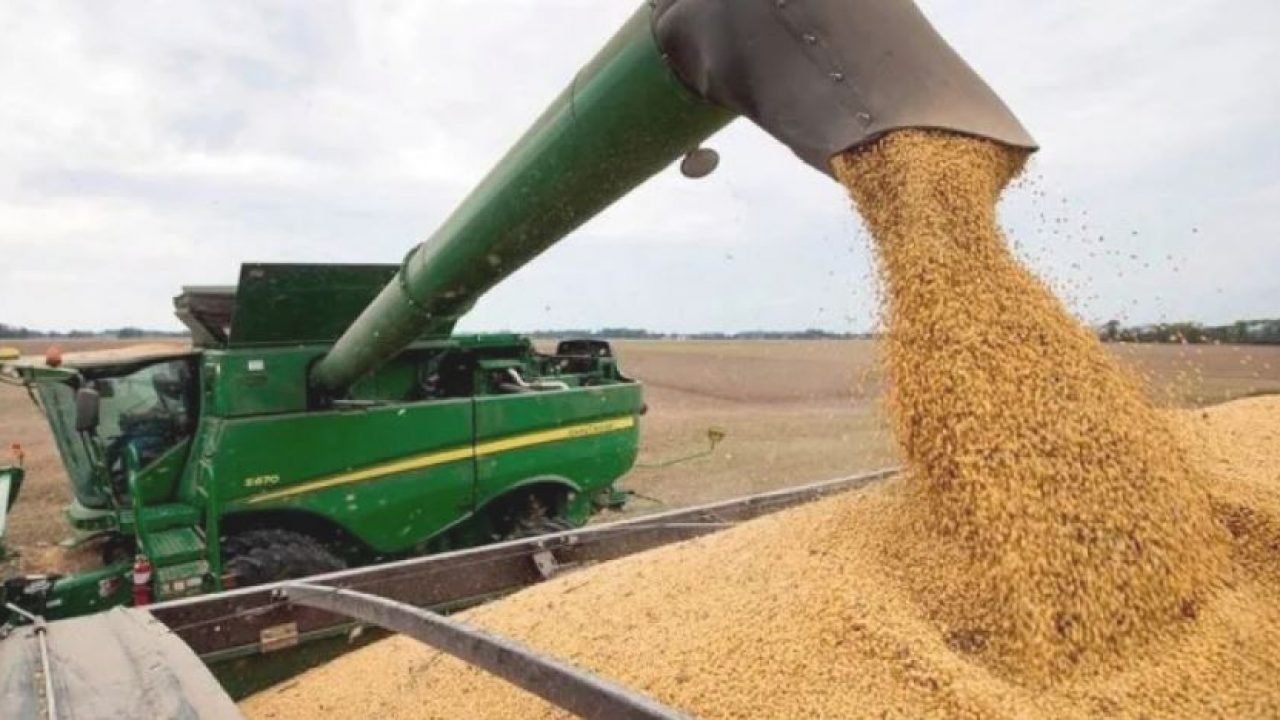 El Gobierno oficializó el dólar agro