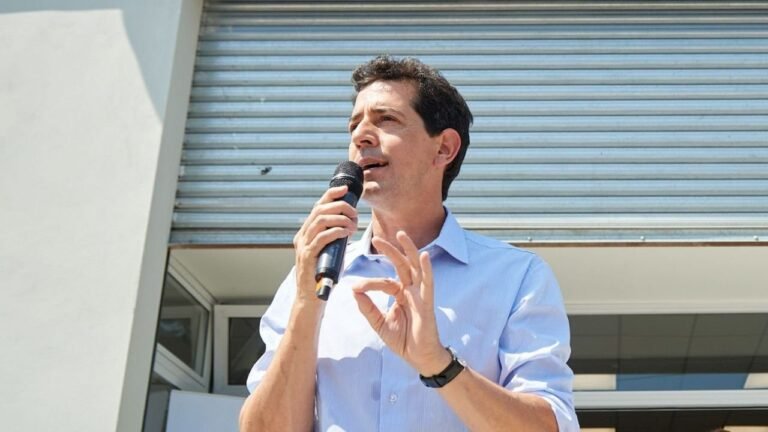 Wado de Pedro: “Quieren darle palos a los jubilados y los trabajadores”