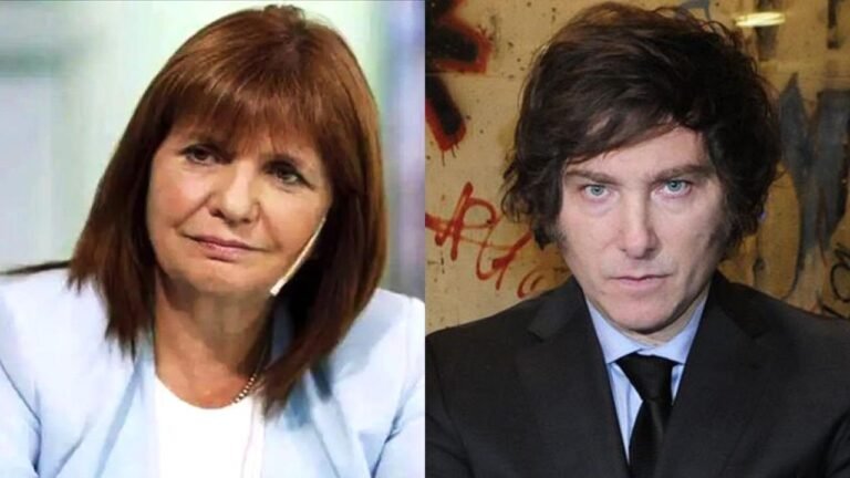 Patricia Bullrich denunció penalmente a Milei