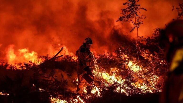 Cambio climático: Olas de calor extremas e incendios en el hemisferio norte