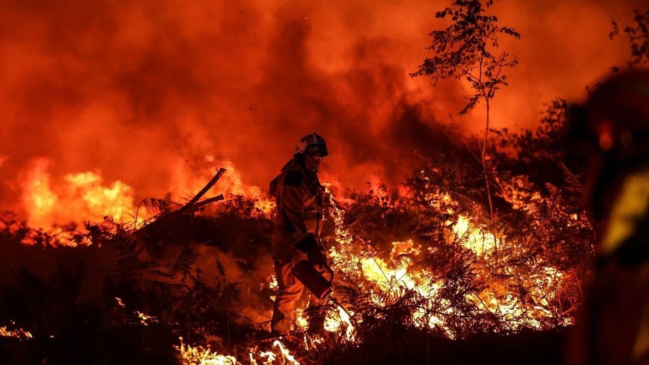 Cambio climático: Olas de calor extremas e incendios en el hemisferio norte