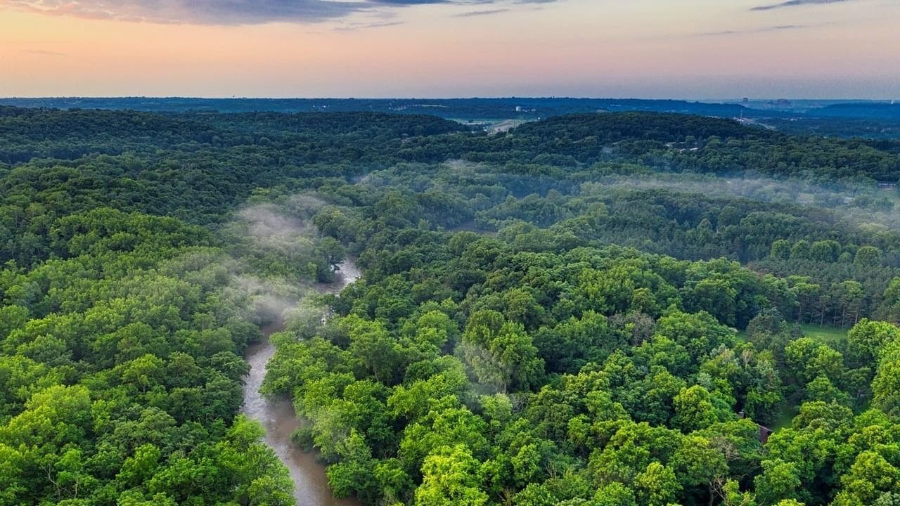 La deforestación del Amazonas cayó casi 34% en el primer semestre del año