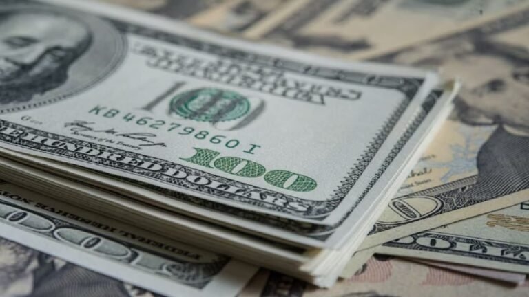 ¿Cuál es el dólar “razonable” para el gobierno de Milei?