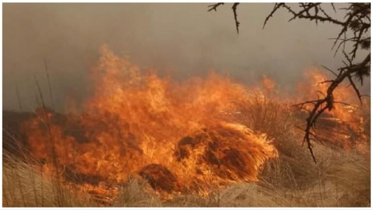 Jujuy registró más de 50 incendios en la última semana
