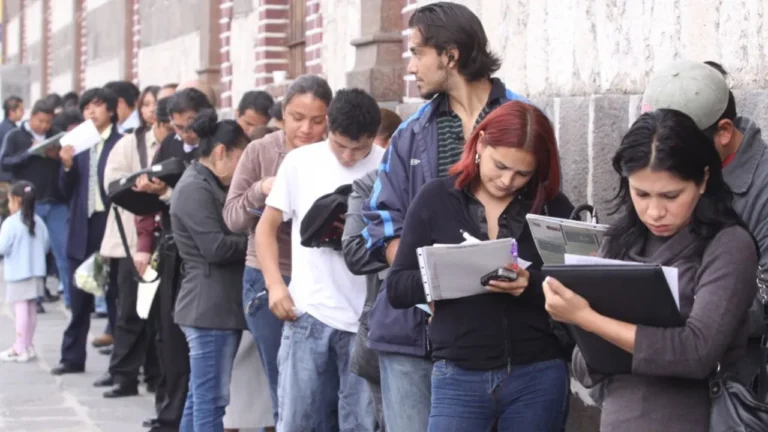 Podrían perderse casi 400 mil empleos formales durante este año