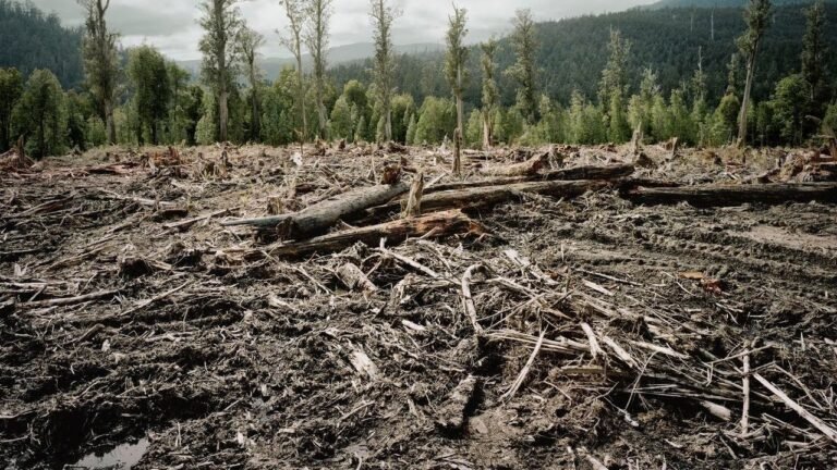 Llevan a 32 Estados europeos a la justicia por su inacción frente al cambio climático