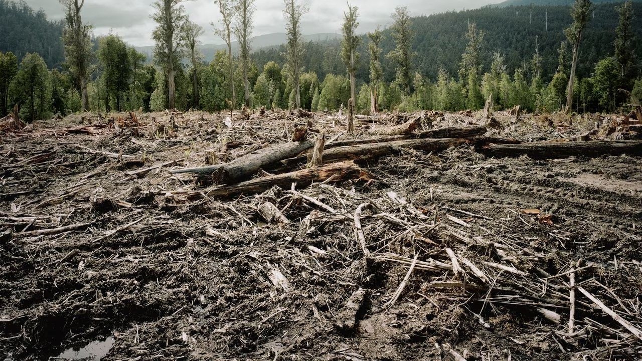 Llevan  a 32 Estados europeos a la justicia por su inacción frente al cambio climático