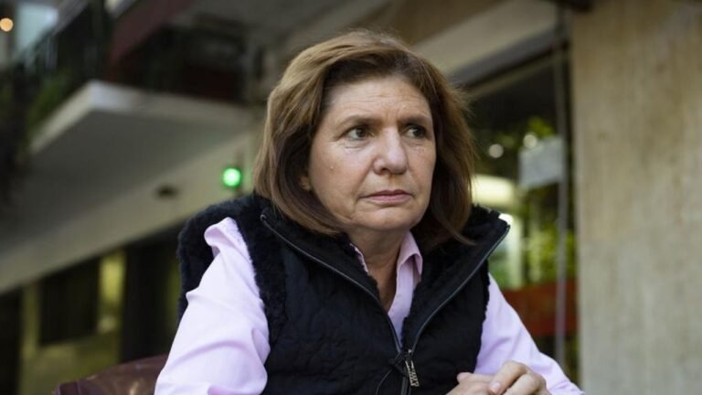 Bullrich negó la represión a los jubilados que reclamaban frente al Congreso