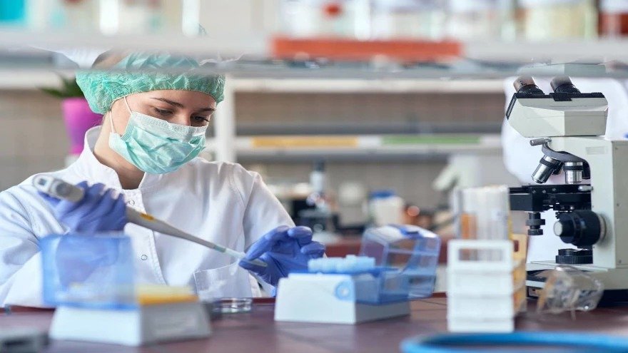 Es ley el Plan de Ciencia, Tecnología e Innovación 2030