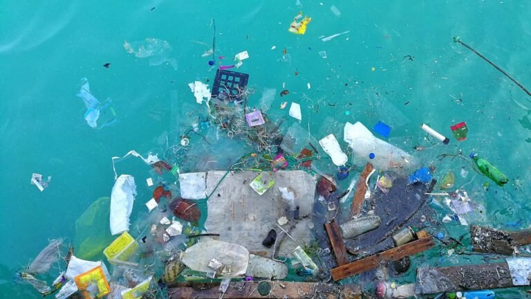 La contaminación por plásticos alcanzó niveles históricos