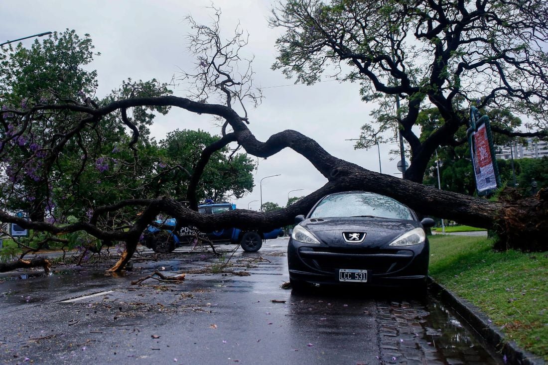 Lo que dejó el temporal