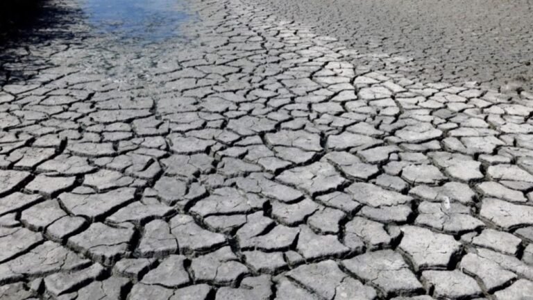 Eventos climáticos extremos afectarían la producción del agro en Sudamérica
