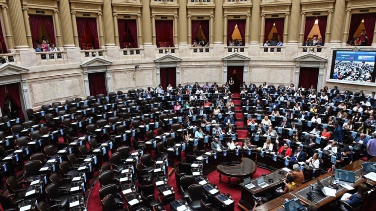 La Ley Ómnibus vuelve a Comisión