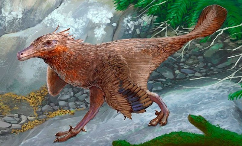 Descubren en Neuquén una nueva especie de dinosaurio carnívoro