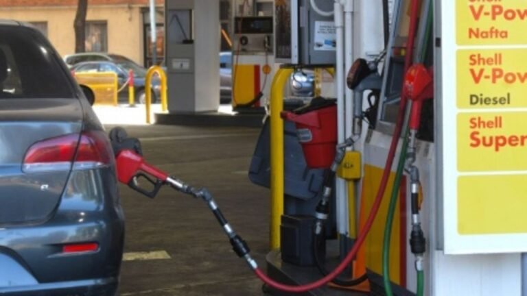 Argentina se encuentra entre los países con la nafta más cara en la región