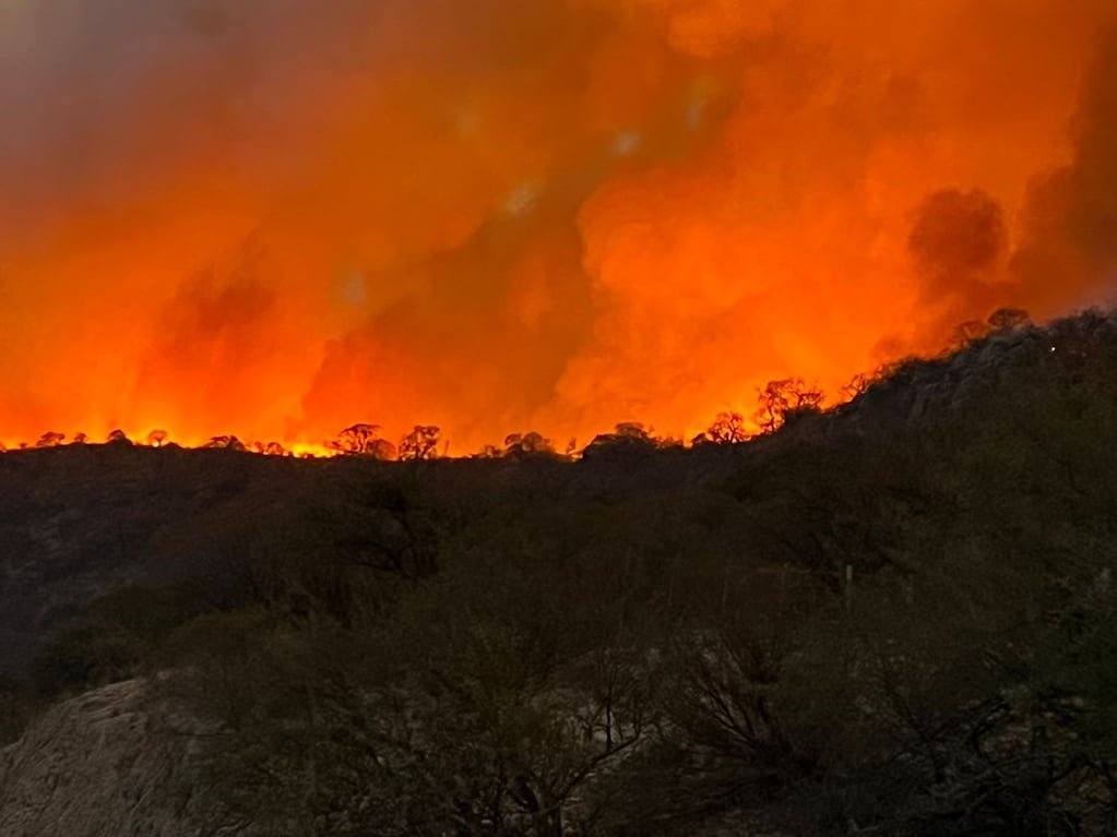 Desafíos ambientales 2025: acciones urgentes para nuestro futuro