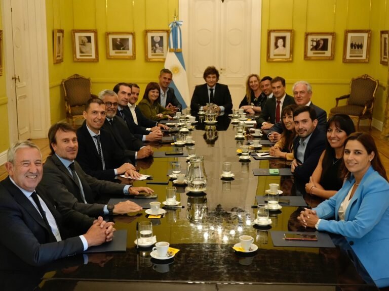 Radicalismo en crisis: Divisiones internas y desafíos en el Congreso