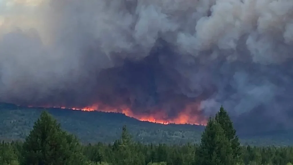 Crisis climática en Río Negro: evacuaciones urgentes por fuego