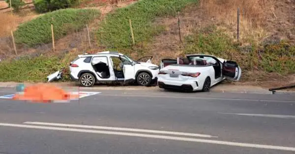 Ex Puma y empresario mendocino fallece en trágico accidente en Chile