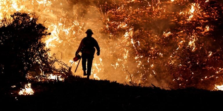 Falta de medidas preventivas ante incendios en Los Ángeles