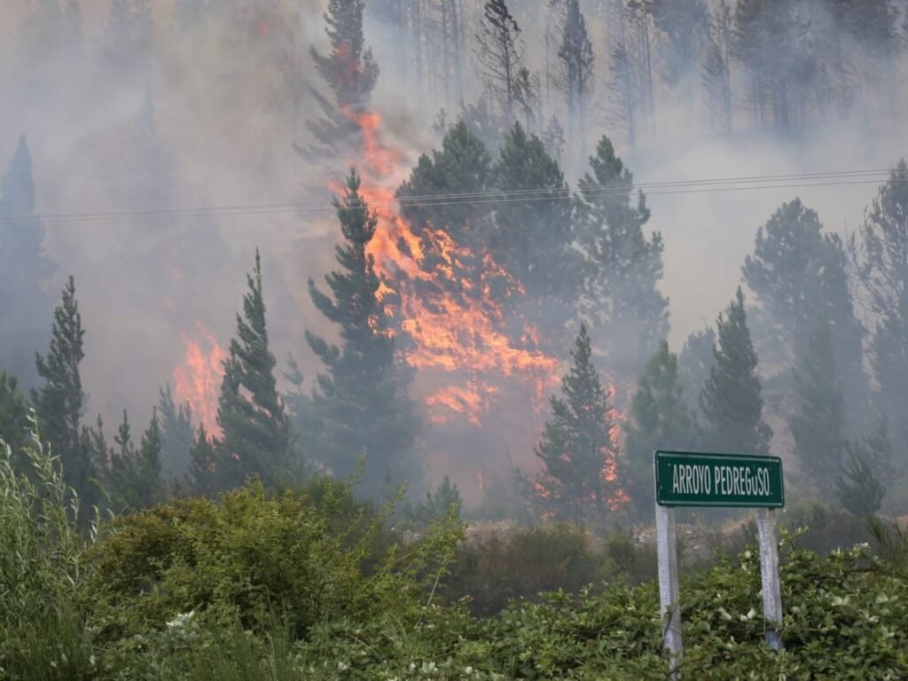 Gobernador de Chubut culpa a mapuches por incendios