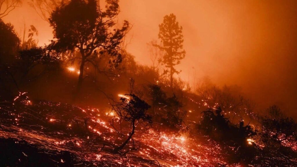 Incendios en California: Impactantes imágenes de la devastación