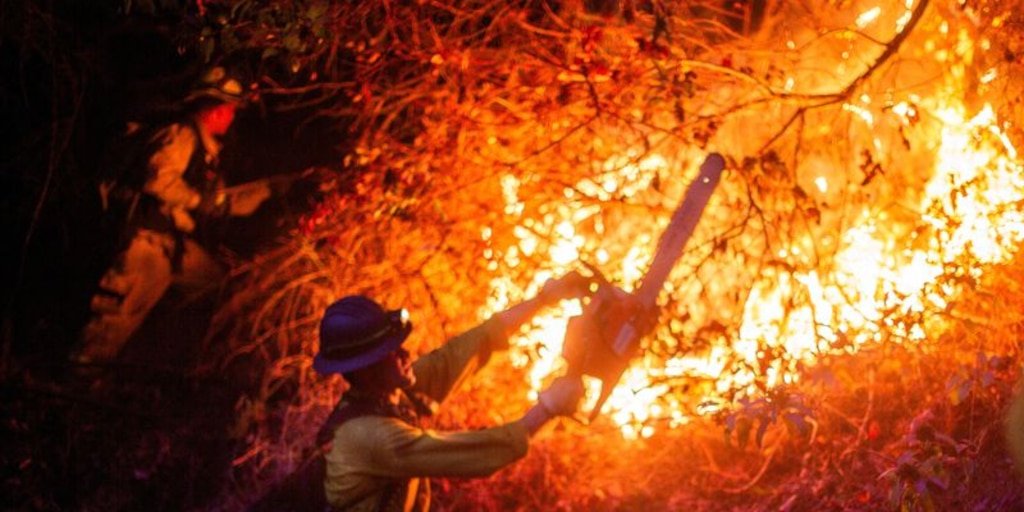 Incendios transformarán el futuro de Los Ángeles drásticamente