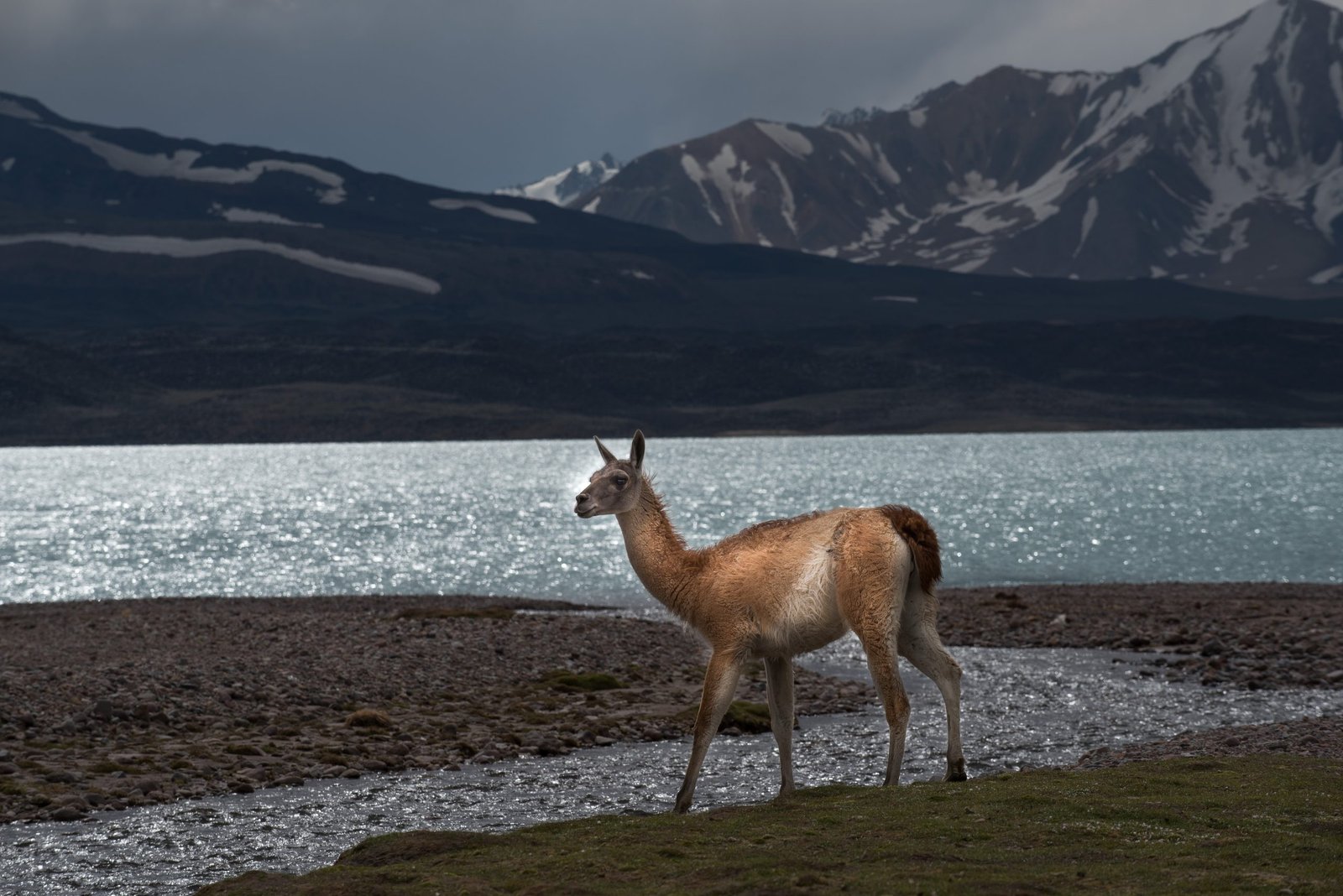 Laguna del Diamante: Guía completa para visitarla en Mendoza