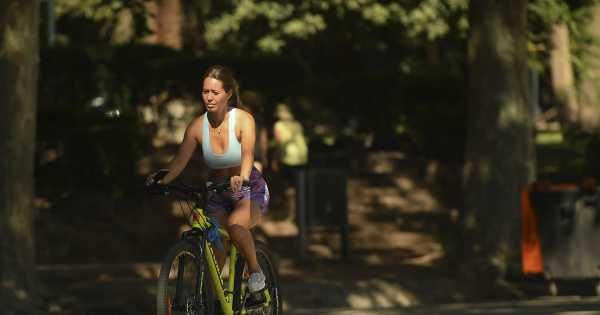 Mendoza inicia el año con intenso calor y sol radiante