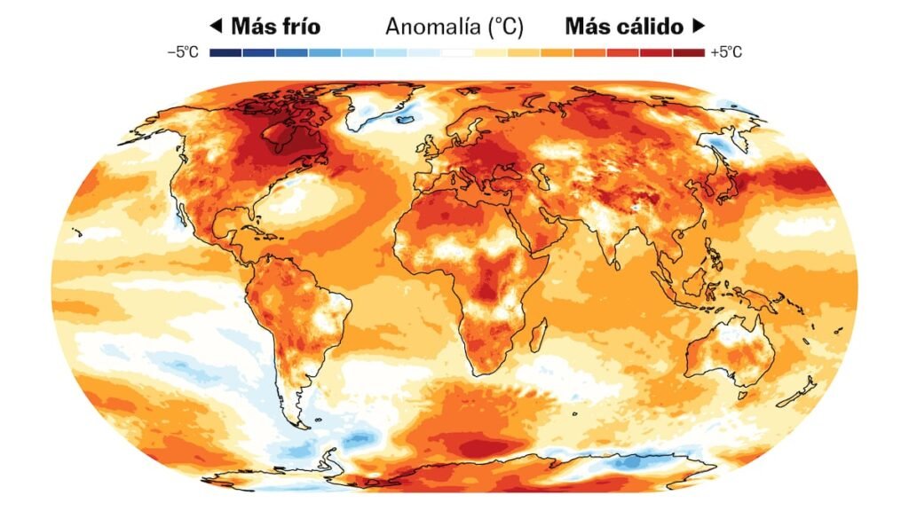 Récords climáticos de 2024: acciones urgentes por un futuro sostenible