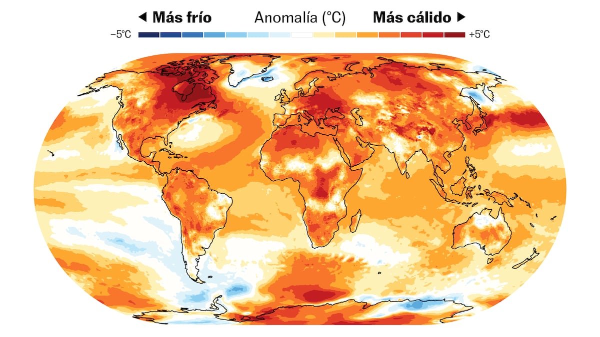 Récords climáticos de 2024: acciones urgentes por un futuro sostenible