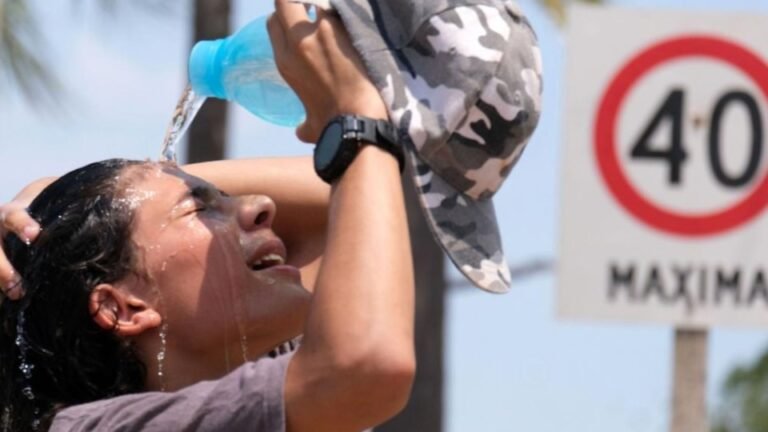 Temperaturas Extremas: Alertas en Ocho Provincias Argentinas