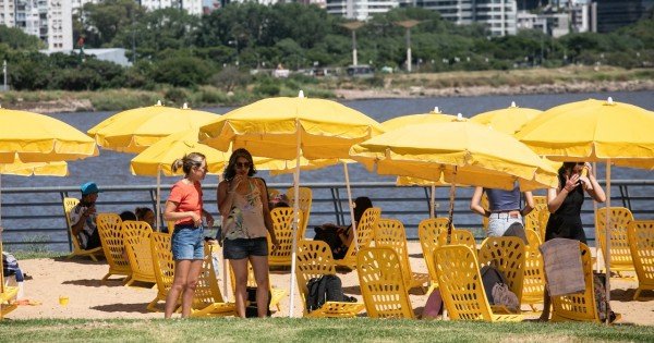 Verano 2025: Actividades y Espectáculos Familiares en la Ciudad