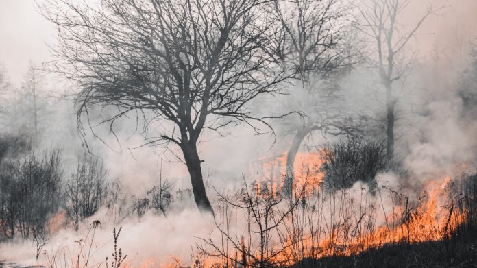 Temperaturas récord aumentan incendios y nevadas intensas según NASA.