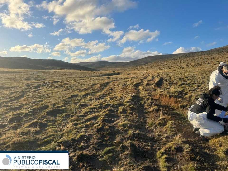 Accidente o Delito: La Importancia de Buscar Ayuda Inmediata en Situaciones Críticas