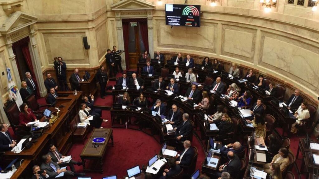 Senado Argentino Establece Fondo Especial y Declara Emergencia en Bahía Blanca: Medidas Urgentes para la Ciudad