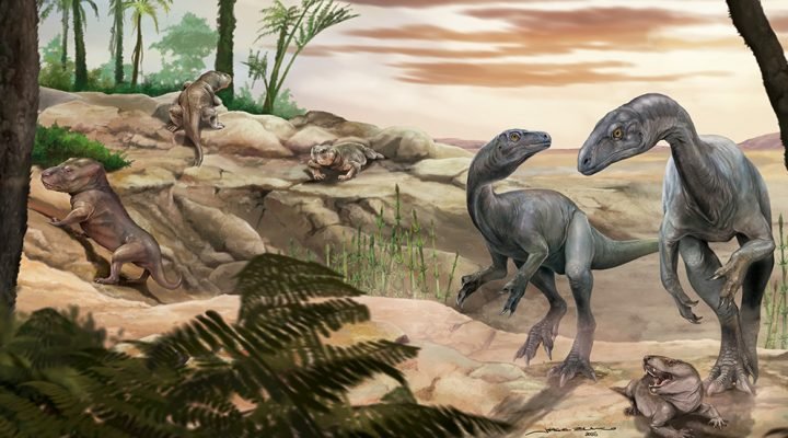 Científicos del CONICET hallan uno de los dinosaurios más antiguos del mundo en La Rioja: “Huayracursor jaguensis”